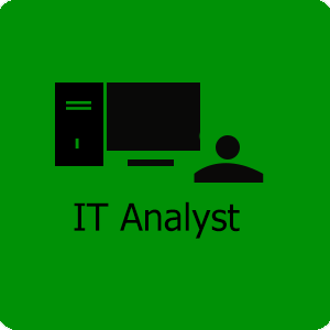 IT Analyst service